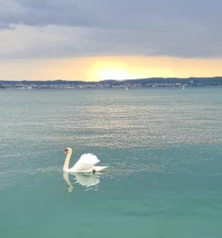 Vera Luxury Apartment Sirmione Exterior foto